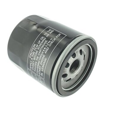 Filtras alyvos BRIGGS & STRATTON Filtras alyvos BRIGGS & STRATTON